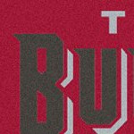 tampa bay buccaneers