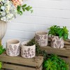 NAYSAYE Planter Set of 4 Gray Sand and Cement Planter with Brown Botanical Motifs for Indoor Outdoor Garden, Brown and Gray, 10"*10"*5" - 2 of 4
