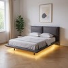 HomeRoots Gray Tufted Upholstered Queen Bed Frame With LED Lighting And USB - 2 of 4