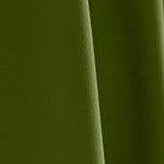 calla green