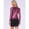 Allegra K Women's Long Sleeve Puff Sleeve Party Glitter Shiny Metallic Tops - 4 of 4