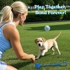 Itopfox 20 Pack Puppy Chew Toys - Blue Dog Teething Toys for Puppies, Teething Rings and Durable Ropes, Rubber Toy Bundle for Small Dogs - 3 of 4