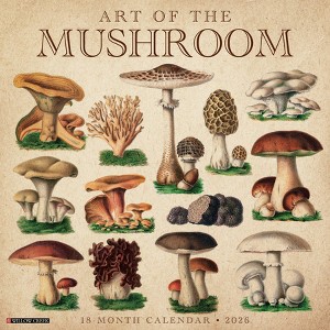 Willow Creek Press 2026 Art of the Mushroom Wall Calendar - 1 of 4