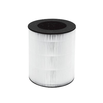 Homedics Replacement Hepa-type Filter For Ap-t20 & Ap-t22 : Target