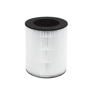 HoMedics Replacement True HEPA Air Filter for AP-T20 & AP-T22 Air Purifiers: Captures Allergens, Bacteria, Viruses, Smoke - 1 of 4
