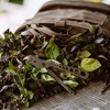 Barebones Herb Harvest and Strip Tool - 3 of 4
