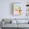 Trademark Fine Art - Erika Gehringer Spontaneity 2 Canvas Art - 2 of 4