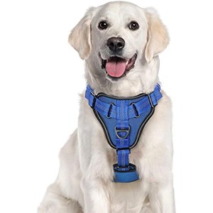 rabbitgoo Dog Harness, No Pull Dog Vest Harnesses with Bungee Handle & 2 Metal Clips, Belly Adjustable, Soft Padded for Large Medium Small Dogs - 1 of 1