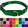 Country Brook Petz Heavy Duty Nylon Martingale Dog Collar with Deluxe Buckle - 30+ Vibrant Color Options - 2 of 4