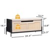 Rattan Storage Bench with Safety Hinge, Entryway Bench with Storage for Bedroom, Shoe Storage Bench Chest, End of Bed Bench with Side Handles - 2 of 4