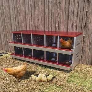 GustoWave  10-Compartment Chicken Nest Box  with Egg Collection Tray and 10 Fake Training Eggs - 1 of 4