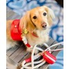 PoisePup – Luxury Pet Dog Waste Bag Holder – Soft Premium Italian Leather Poop Bag Dispenser - Melting Hearts - 3 of 3