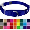 Country Brook Petz Heavyduty Nylon Martingale with Premium Buckle - 3 of 4
