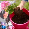 Premier PRO-MIX Premium Potting Mix with MYCOACTIVE Technology, Loose Fill - 2 of 4