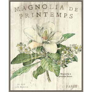23" x 28" Magnolia de Printemps by Sue Schlabach Framed Canvas Wall Art Print - Amanti Art: Modern Style, Lithograph Medium, Polystyrene Frame - 1 of 4