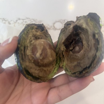 Guest review image 1 of 3, zoom in