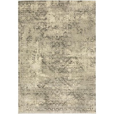 Oriental Weavers Astor 1806Q Beige/ Grey Indoor Area Rug - 5'3" x 7'6"