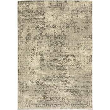 Oriental Weavers Pasargad Home Astor Collection Fabric Beige/Grey Distressed Pattern- Living Room, Bedroom, Home Office Area Rug, 5' 3" X 7' 6"