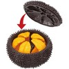 Bandai - Megahouse - Kaitai Puzzle - Sea Urchin Puzzle - 3 of 4