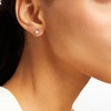 Pompeii3 1/4 - 2 Ct T.W. Natural Diamond Studs in 14k White or Yellow Gold - 3 of 4