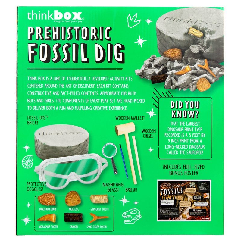 Prehistoric Fossil Dig Activity Kit - Think Box, 5 of 7