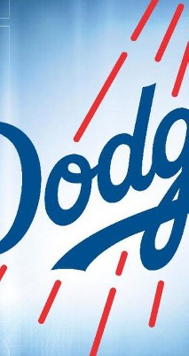 clear push pins bundle