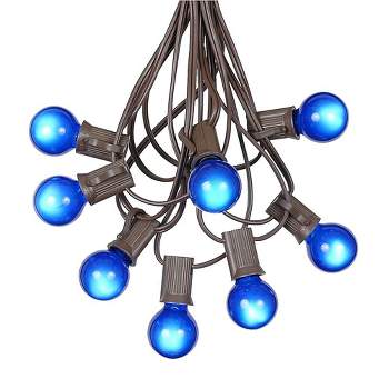 Novelty Lights 25 Feet G30 Globe Outdoor Patio String Lights, Brown Wire
