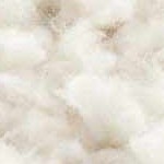 beige, dark brown, camel, gray