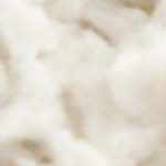 beige, dark brown, camel, gray