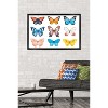 Trends International Watercolor Butterflies Framed Wall Poster Prints - 2 of 4