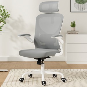 GlasFlength Task and Office Chairs with Support Armrest，Ergonomic, Adjustable，Computer Chair and Gaming Chair, Gray, 25.6"*27.2"*48.4" - 1 of 4