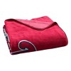 MLB Philadelphia Phillies 50 x 60 Raschel Throw Blanket - 3 of 3