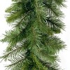National Tree Company Artificial Christmas Garland, Green, Winchester Pine, Christmas Collection, 9 Feet - 3 of 4