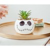 Silver Buffalo Disney The Nightmare Before Christmas Jack Skellington 6 Inch Ceramic Planter - 2 of 4