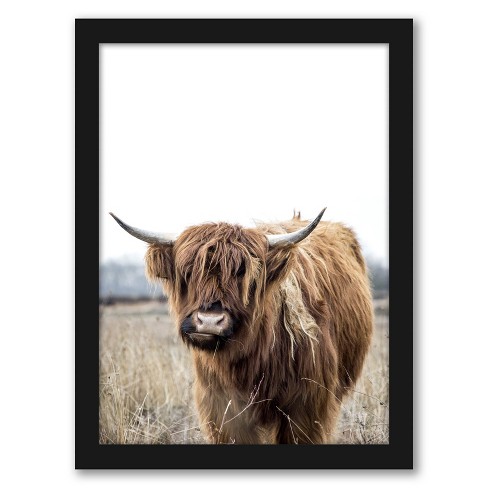 Americanflat - Highland Cow By Tanya Shumkina - Black Frame 22x28