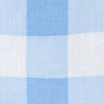 gingham blue / white