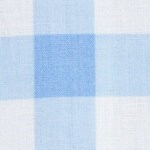 gingham blue / white