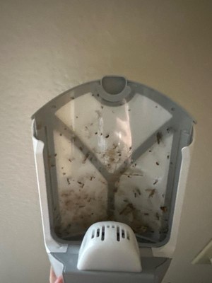 Guest review image 1 of 2, zoom in
