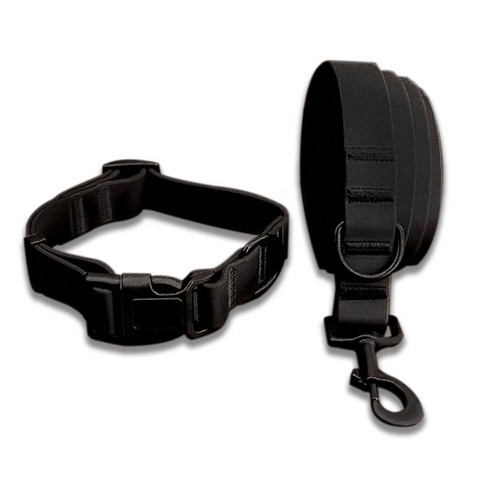 Cool dog collars and leashes best sale