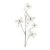 Butterfly Twig Spray (Set of 4) - 2 of 2