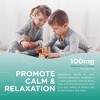 Chapter One by Zahler Great-Tasting Flavored Magnesium Gummies for Kids, Mixed Raspberry Mango Flavor - 60 Count, Certified Kosher - 4 of 4