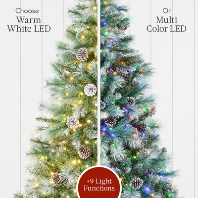 9ft Frosted Scotch Pine Christmas Tree with Multicolor LED Lights