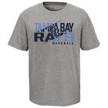  Tampa Bay Rays T-shirt (Adult Large) : Sports & Outdoors