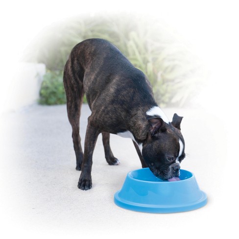 K&H Pet Products | Thermal Bowl - Blue, 96-Oz.