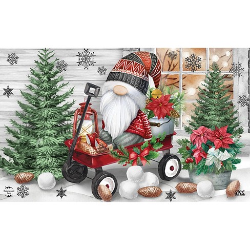  Funtery Winter Gnome Outdoor Christmas Mat Doormat Christmas  Door Mats Snowman Doormat Outdoor Indoor Entrance Rugs Funny Floor Anti  Slip Welcome Door Mats for Xmas Holiday Decoration, 16 x 28 Inch 