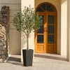 DR.Planzen 5-8FT Adjustable Artificial Olive Tree - UV Resistant Fake Plant in 15.7-22.7" Tall Planter (B/W/Coffee) for Indoor/Outdoor - 2 of 4