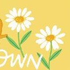 dream big, poppy and pear