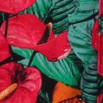 floral tiger