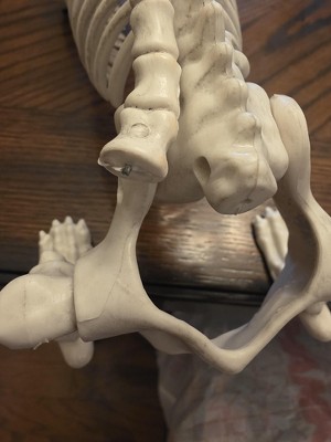 Guest review image 2 of 2, zoom in