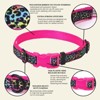 Country Brook Petz Deluxe Ribbon Dog Collar, Bright Spirits Collection - 3 of 4